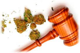 Продажа семян конопли закон рф марихуану выписывают при